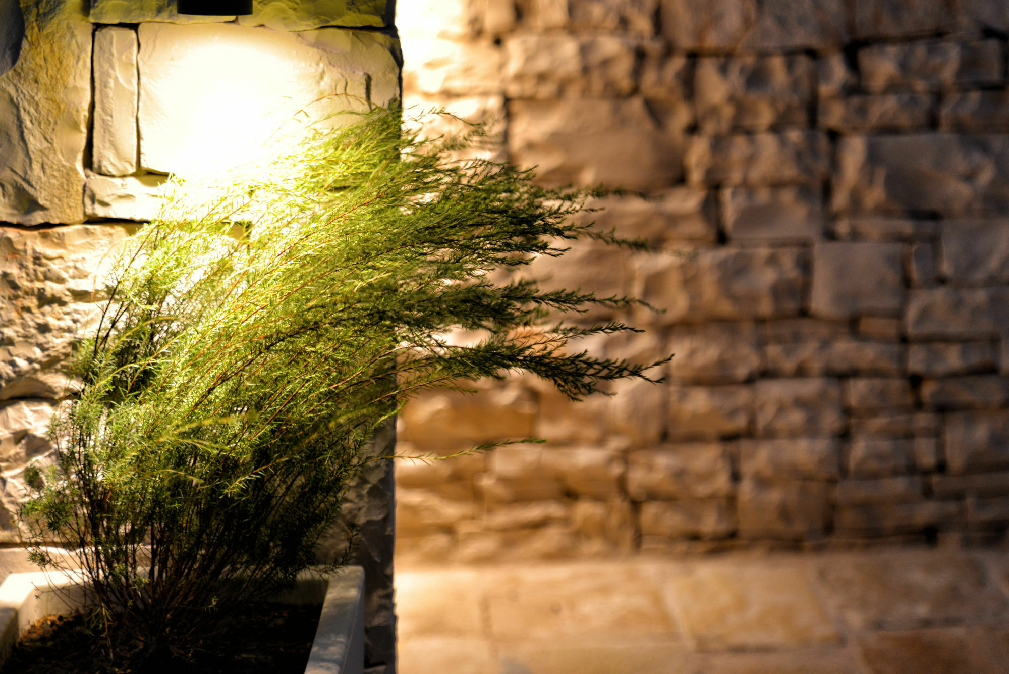 Agriturismo Nonna Rosa Matera Exteriör bild