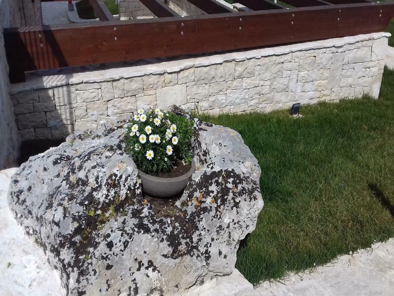 Agriturismo Nonna Rosa Matera Exteriör bild